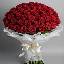 Букет 101 Красная роза Блэк Мэджик в Барановское