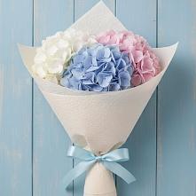 Букет цветов из:  Гортензия в Барановское