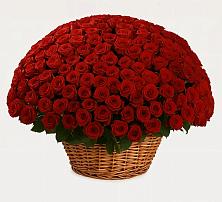 Премиум букет из: Розы #REPLACE_PRED# Барановское