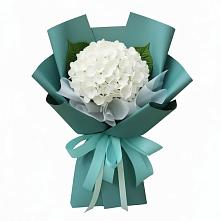 Букет цветов из:  Гортензия в Барановское